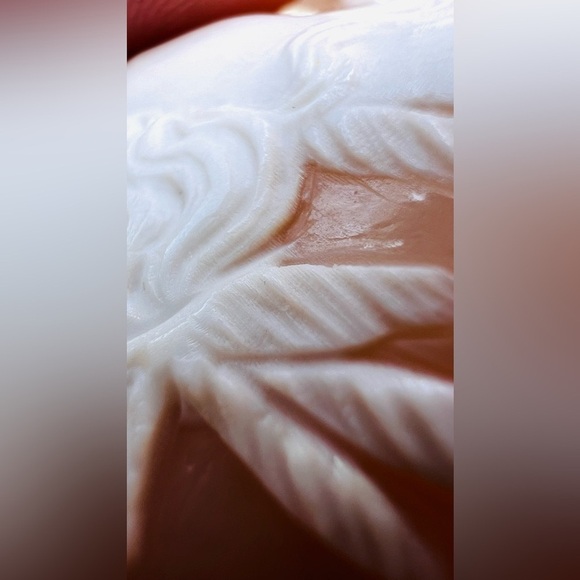 GORGEOUS Victorian Antique Large Unmounted Shell Cameo Large Goddess/God - Picture 12 of 12